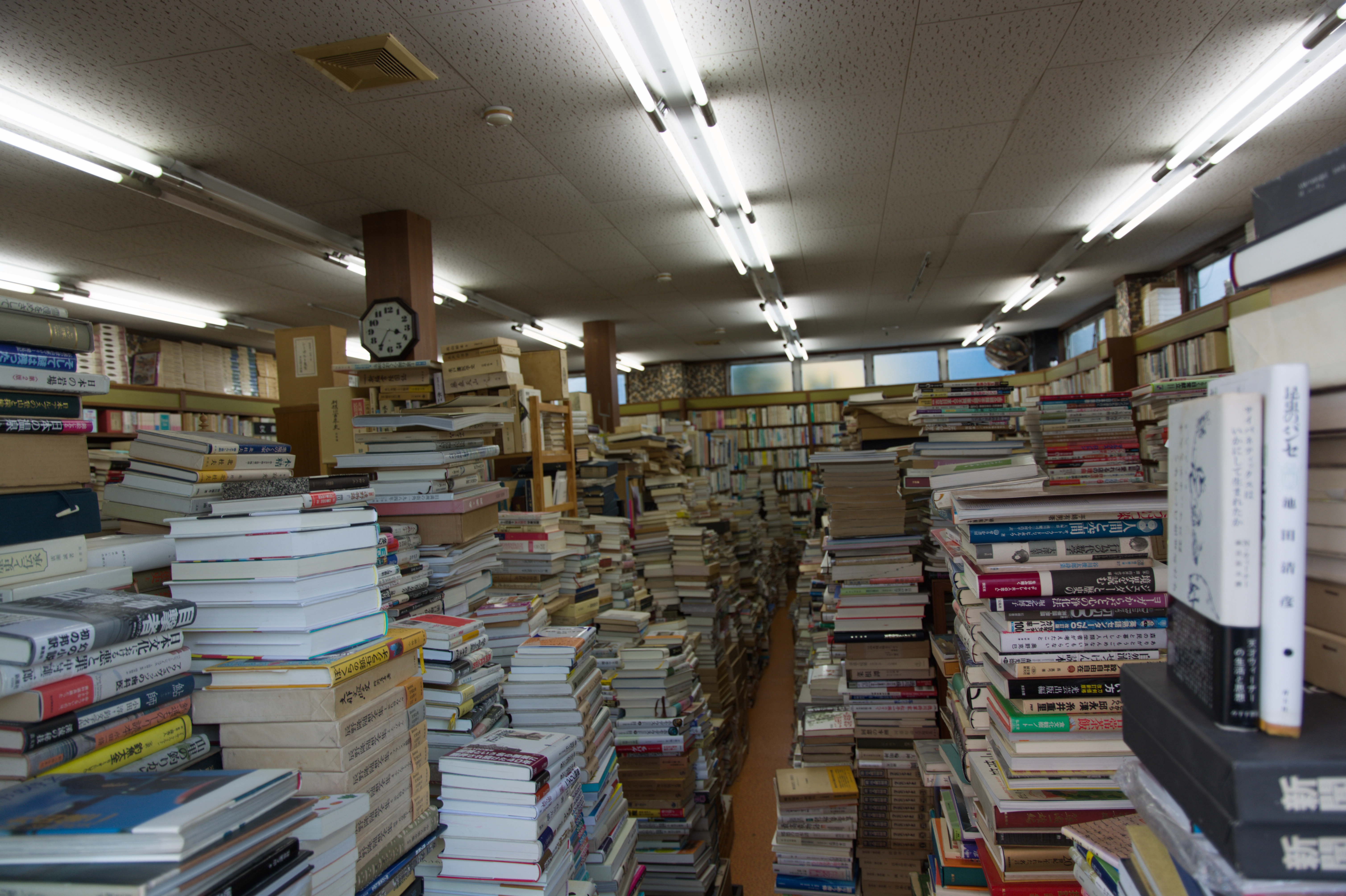 ブックセンターキャンパス店内。分野は色々。